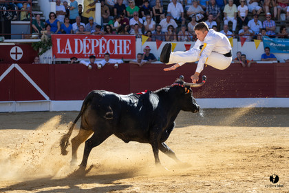 Aire-sur-l'Adour Championnat de France de course landaise 2023