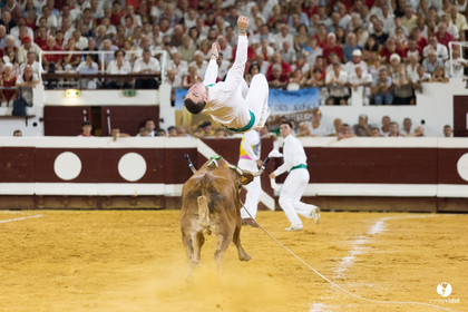 Dax concours landais 2022