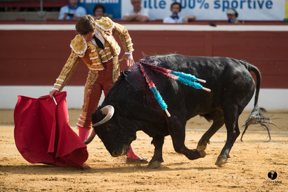 Mont-de-Marsan corrida de Garcigrande pour El Juli et Juan Bautista