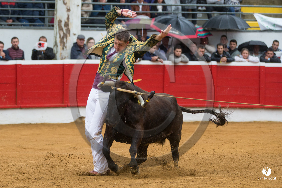 Nogaro Championnatde France de Course Landaise 2017