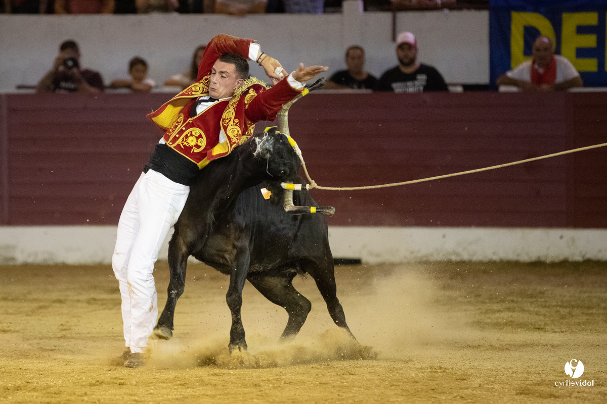 Landes émotions à Aire-sur-l'Adour