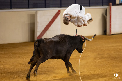Horsarrieu course landaise du boléro d'Argent
