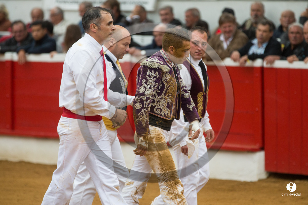 Nogaro Championnatde France de Course Landaise 2017