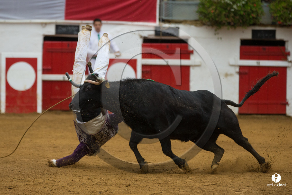 Nogaro Championnatde France de Course Landaise 2017