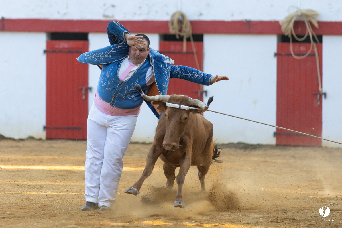 Course landaise à Panjas