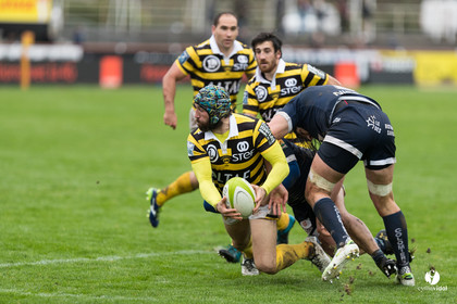 Stade Montois Rugby - Colomiers