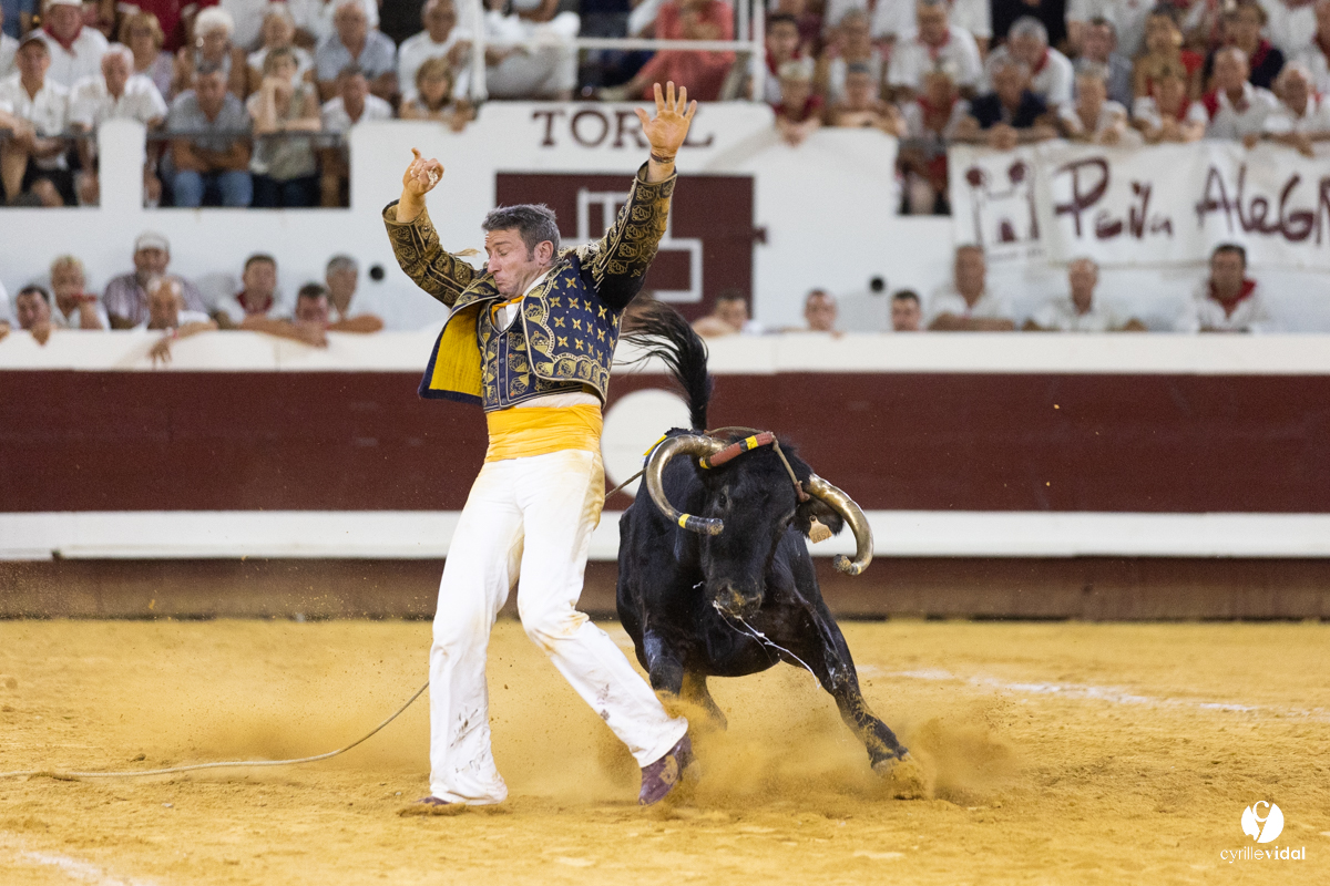 Dax concours landais 2022
