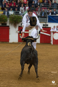 Nogaro Championnatde France de Course Landaise 2017