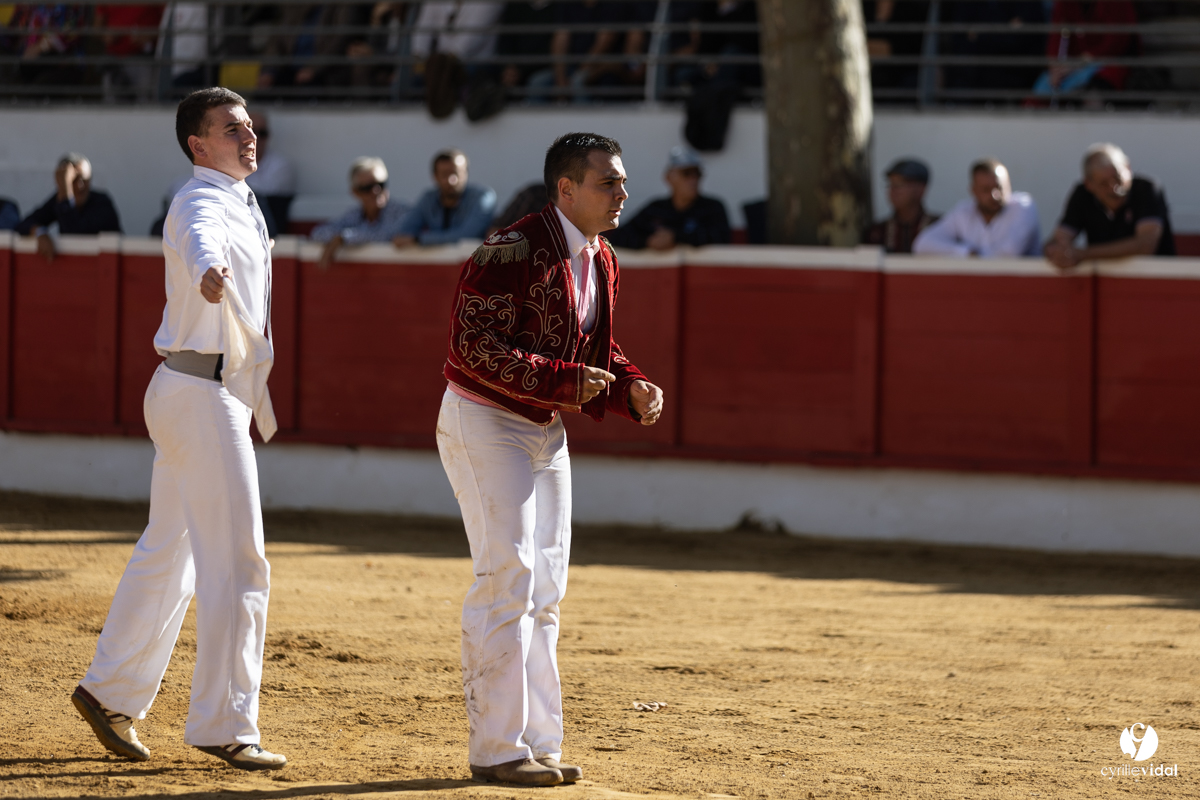 Nogaro Championnat de France de course landaise 2022