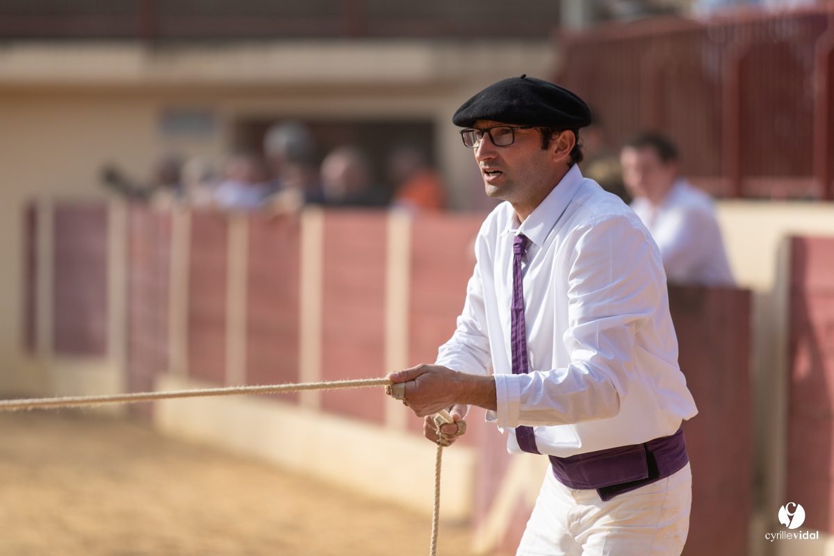 Course landaise Le Houga Ganadéria Dussau Cuadrilla Alexandre Brethes