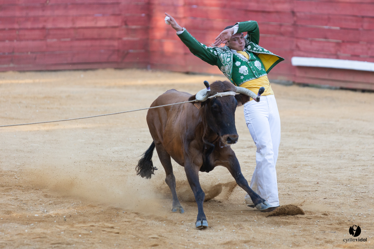 Course landaise à Panjas