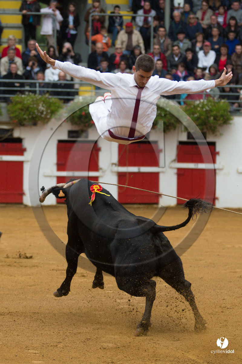 Nogaro Championnatde France de Course Landaise 2017