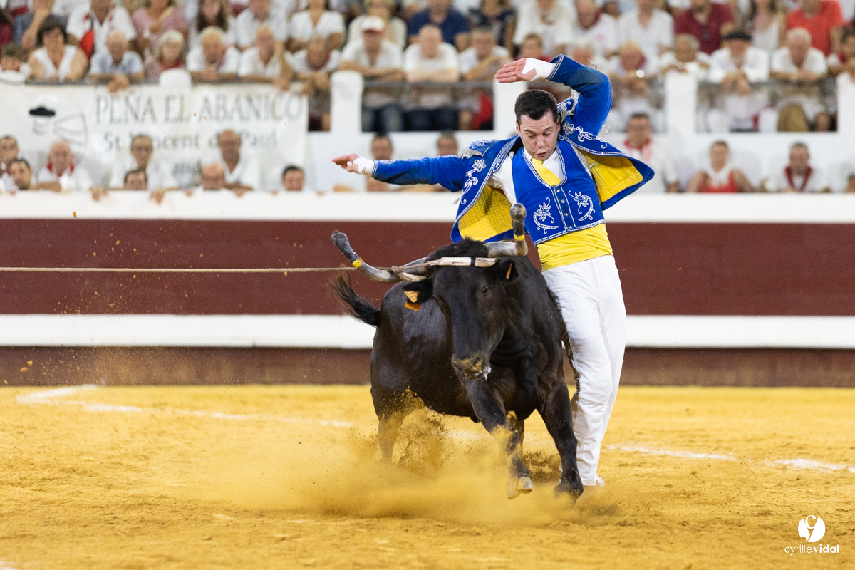 Dax concours landais 2022