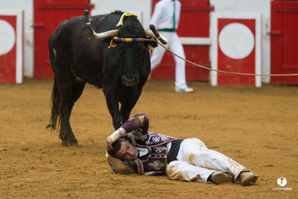 Nogaro Championnatde France de Course Landaise 2017