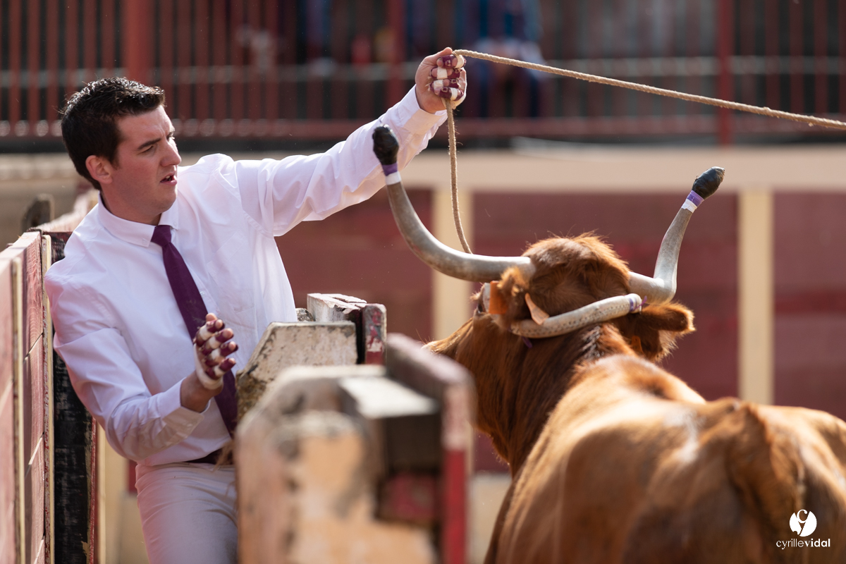 Course landaise Le Houga Ganadéria Dussau Cuadrilla Alexandre Brethes