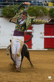 Nogaro Championnatde France de Course Landaise 2017