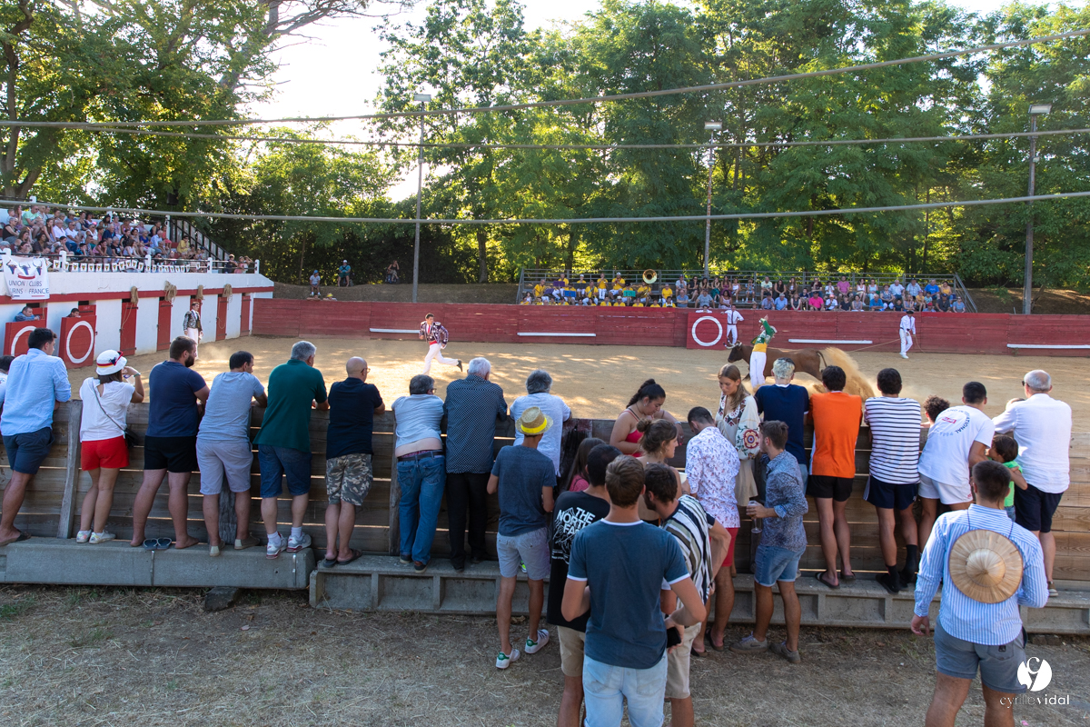 Course landaise à Panjas