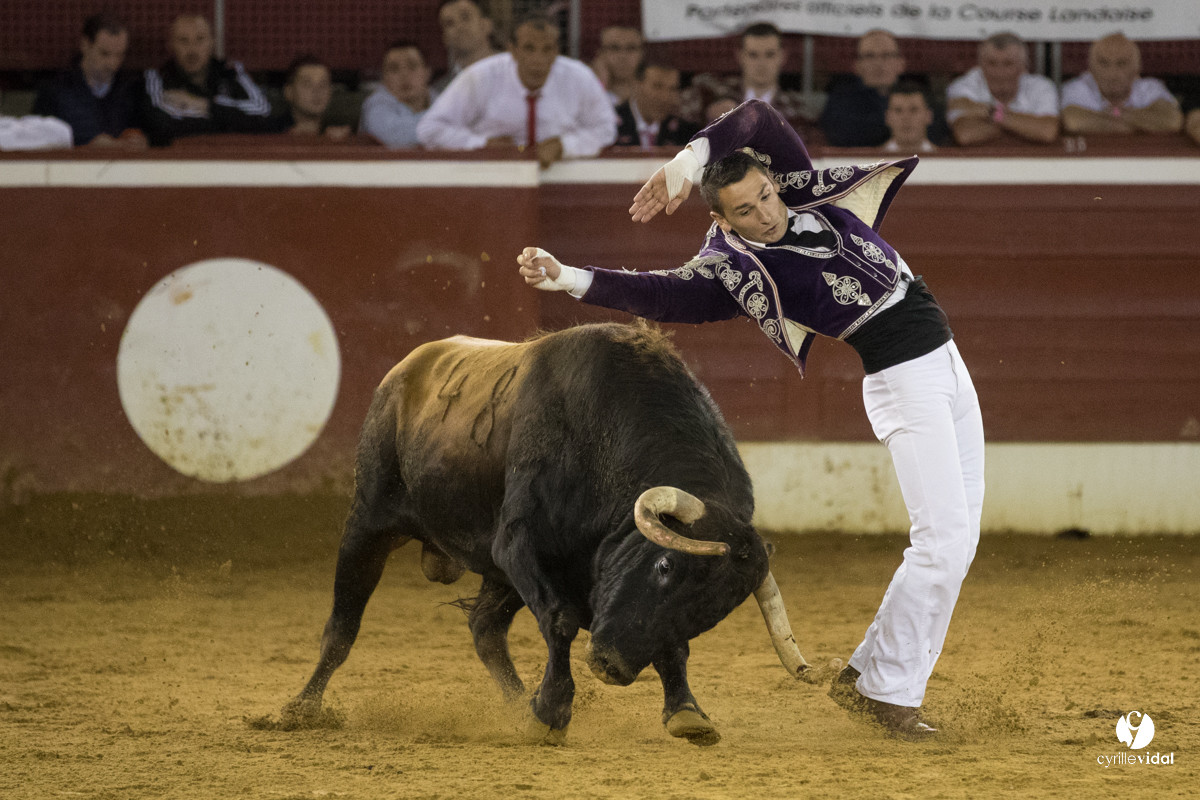 Mont-de-Marsan festival Art et Courage