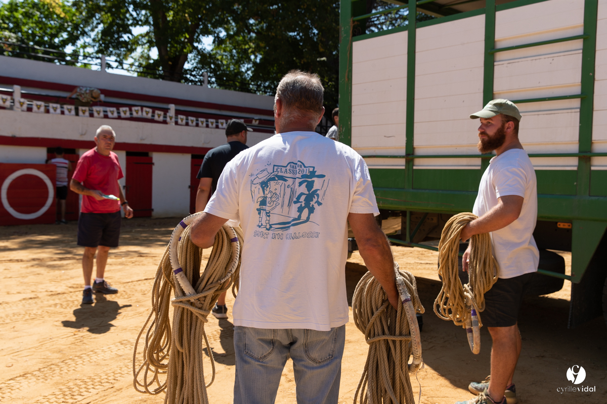 Course landaise à Panjas