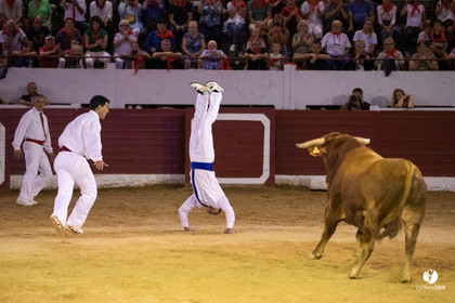 Landes émotions à Aire-sur-l'Adour