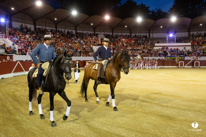 Landes émotions à Aire-sur-l'Adour