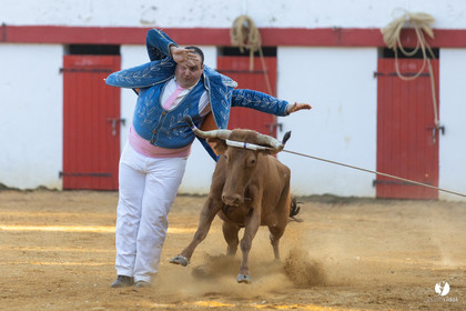 Course landaise à Panjas