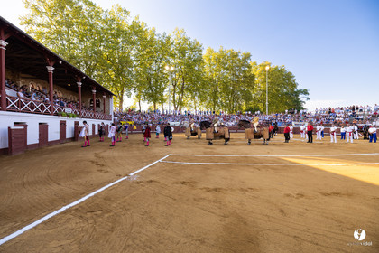 Corrida de Villeneuve-de-Marsan