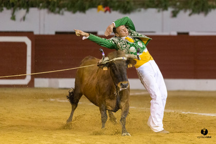 Aire sur l'Adour course landaise génération Aturine