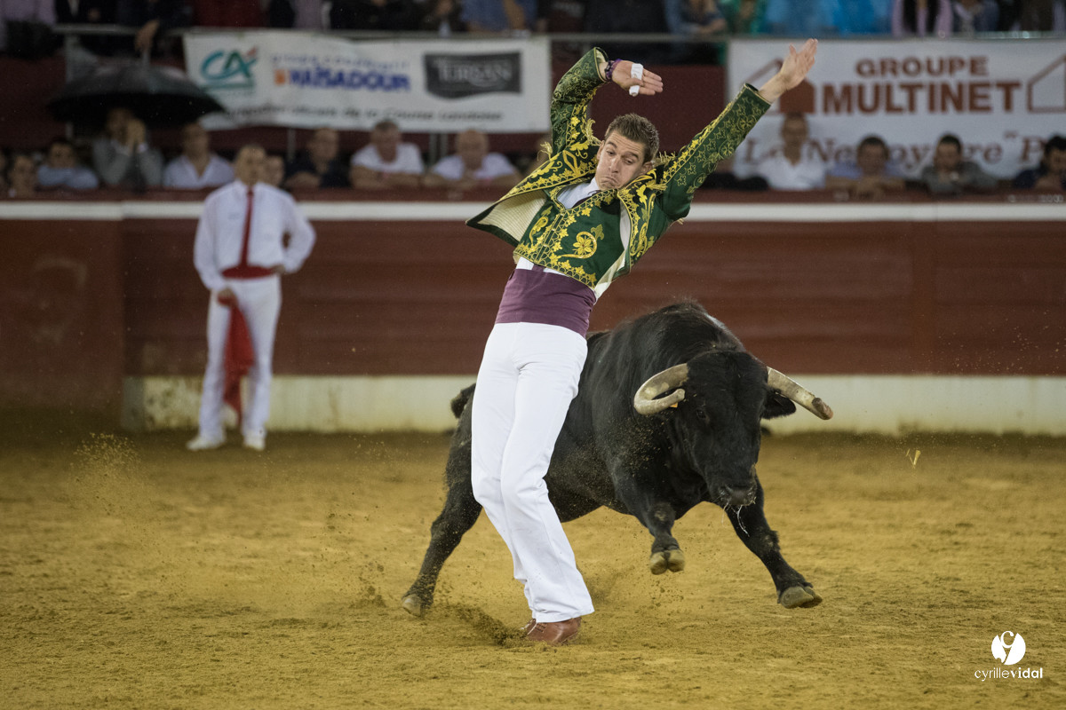 Mont-de-Marsan festival Art et Courage