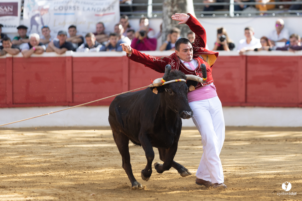 Nogaro Championnat de France de course landaise 2022
