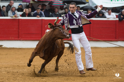 Nogaro Championnatde France de Course Landaise 2017