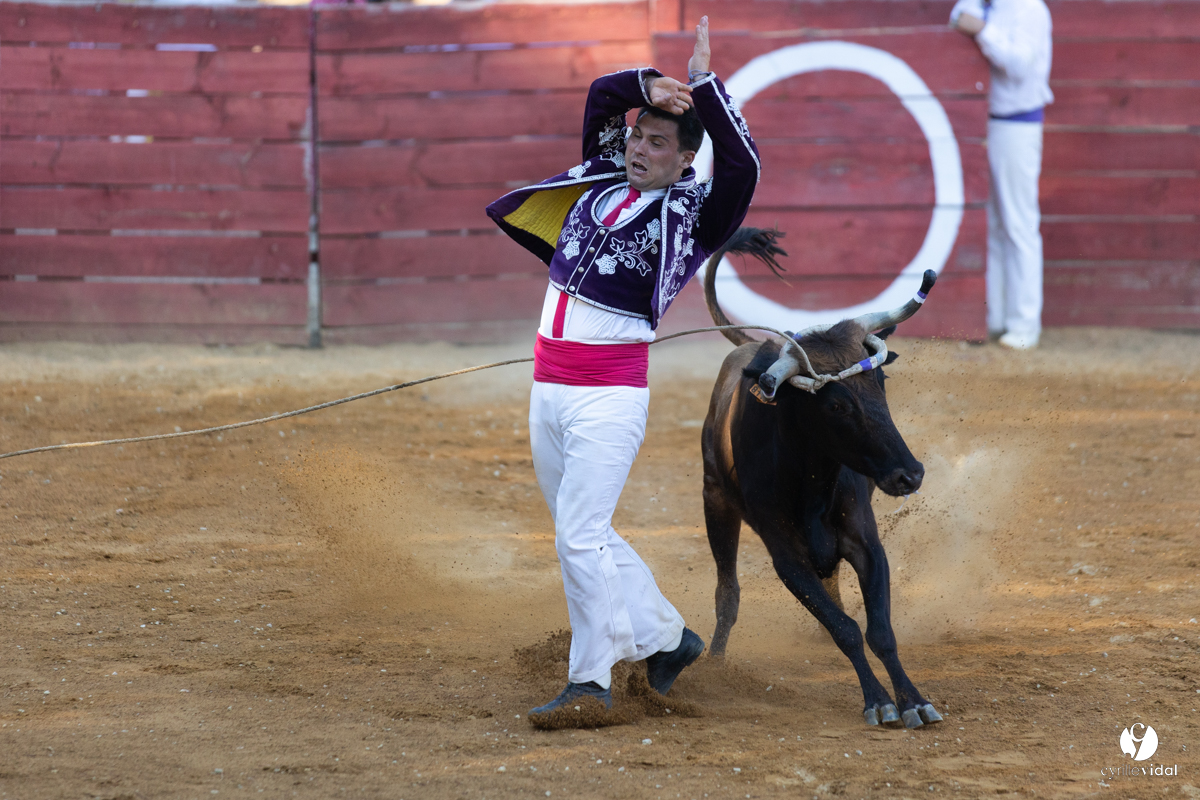 Course landaise à Panjas