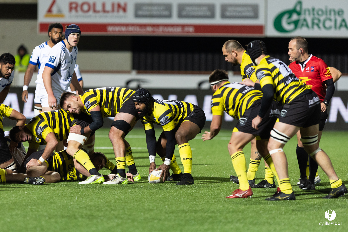 Stade Montois Rugby - Colomiers