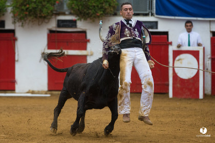 Nogaro Championnatde France de Course Landaise 2017