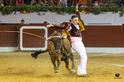 Aire sur l'Adour course landaise génération Aturine