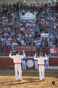 Mont-de-Marsan championnat de France de course landaise 2019