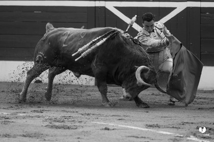 Mont-de-Marsan corrida de Dolores Aguirre pour Octavio Chacon - Pepe Moral - Juan Léal