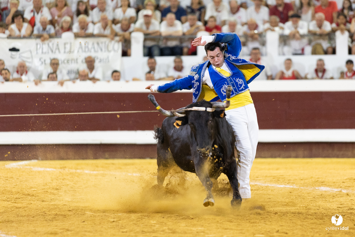 Dax concours landais 2022