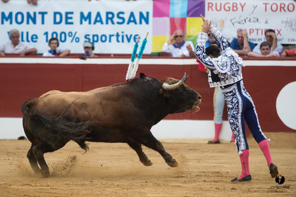 Mont-de-Marsan corrida de Garcigrande pour El Juli et Juan Bautista
