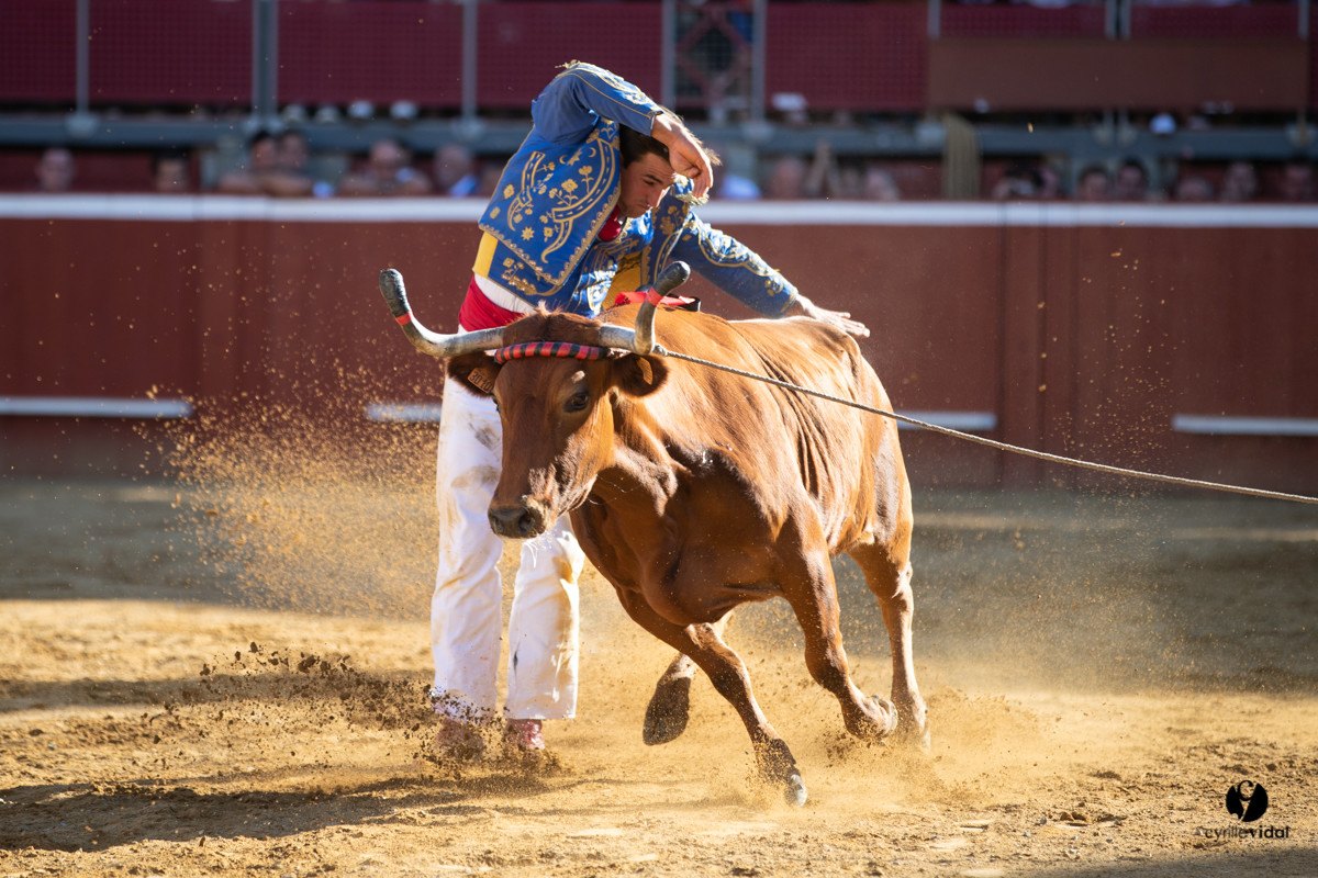 Mont-de-Marsan championnat de France de course landaise 2019