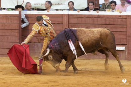 Corrida de Villeneuve-de-Marsan