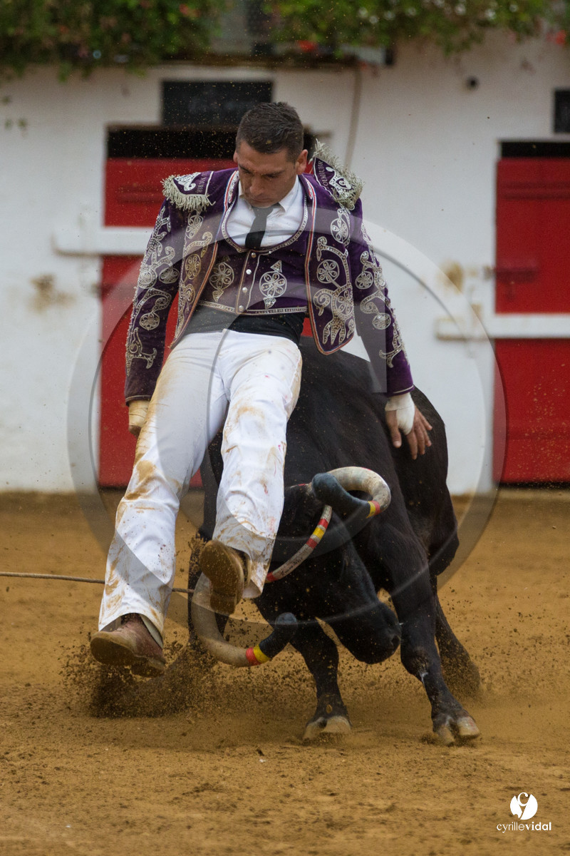 Nogaro Championnatde France de Course Landaise 2017