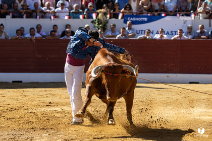 Aire-sur-l'Adour Championnat de France de course landaise 2023