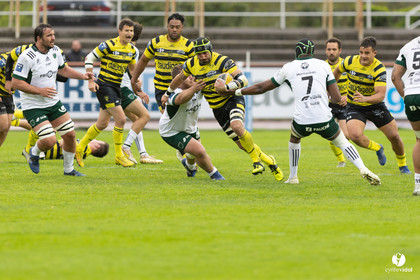 Stade Montois Rugby - Montauban
