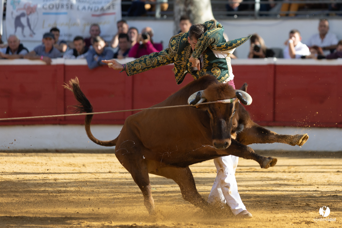Nogaro Championnat de France de course landaise 2022