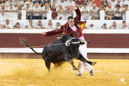 Dax concours landais 2022