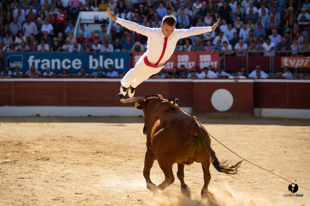 Mont-de-Marsan championnat de France de course landaise 2019