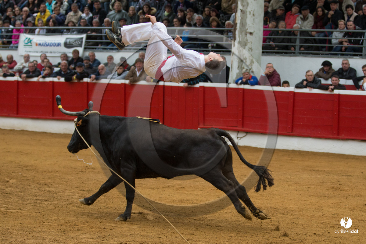 Nogaro Championnatde France de Course Landaise 2017