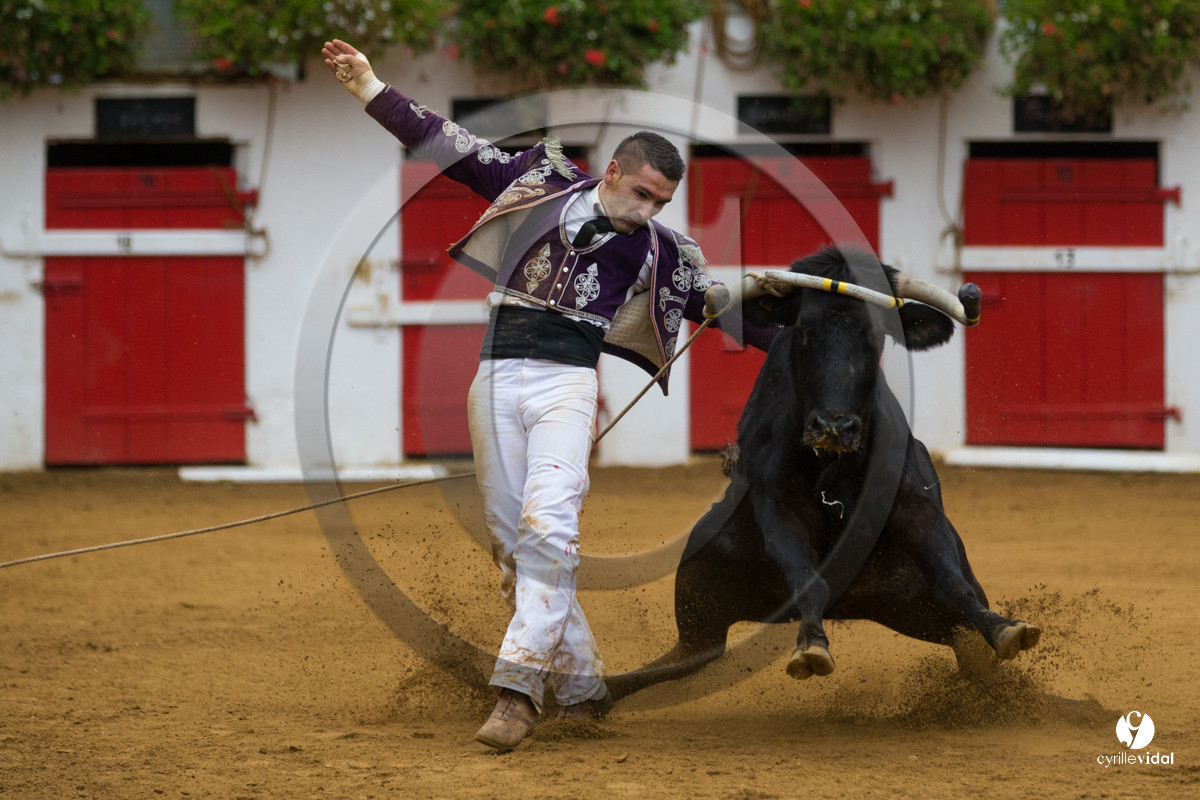 Nogaro Championnatde France de Course Landaise 2017