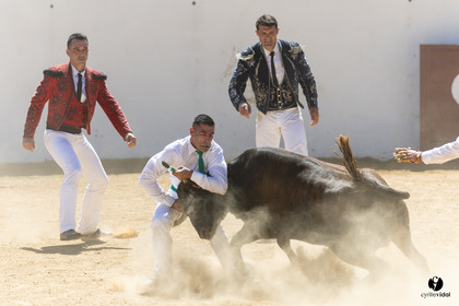 Saint-Cricq Chalosse course landaise de promotion Ganadéria Deyris Cuadrilla Jérémy Lafitte